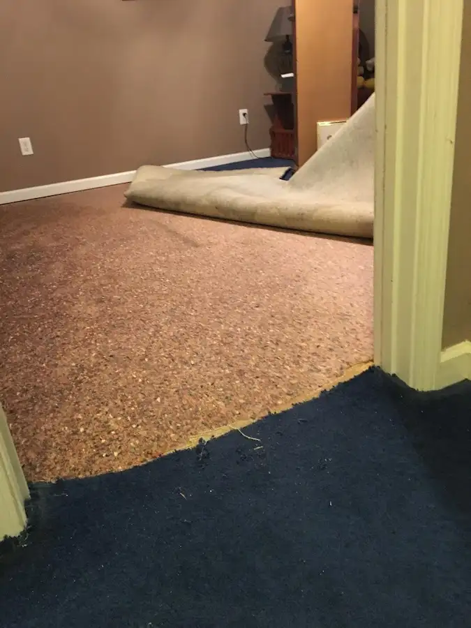 Carpet pad removal revealing water damage during Drying & Dehumidification in Old Bridge