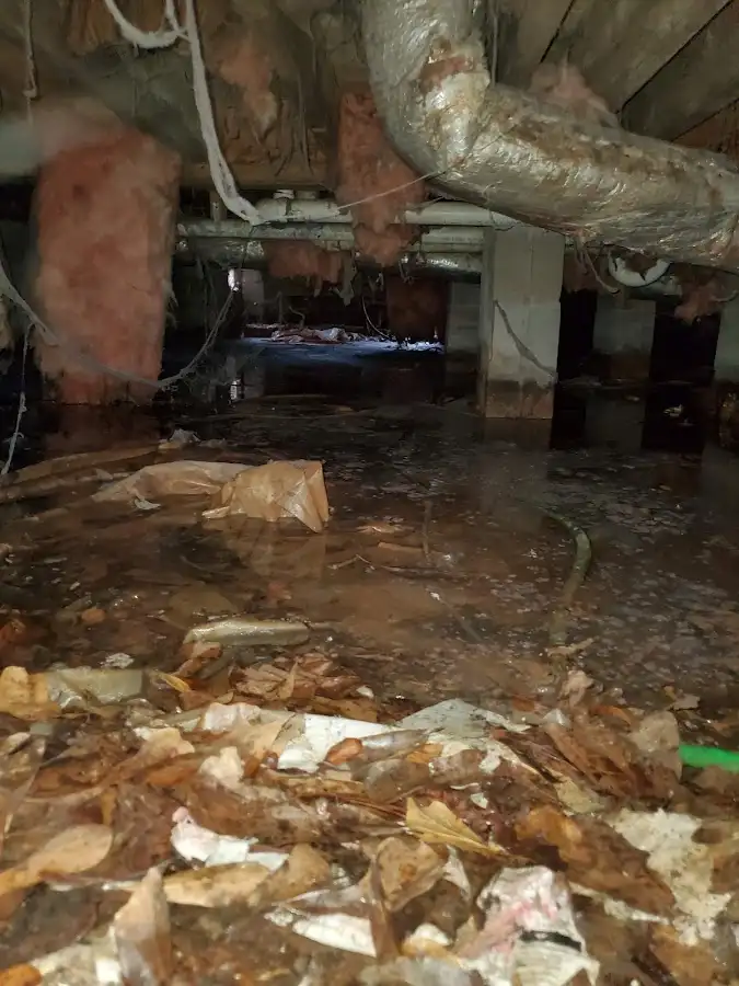 Crawl space flood assessment for Leak Detection & Repair in Old Bridge